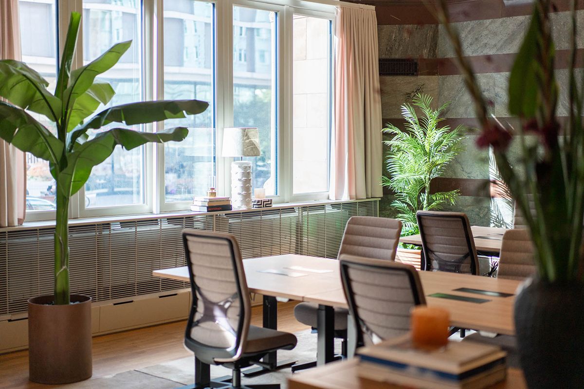 Terms and conditions