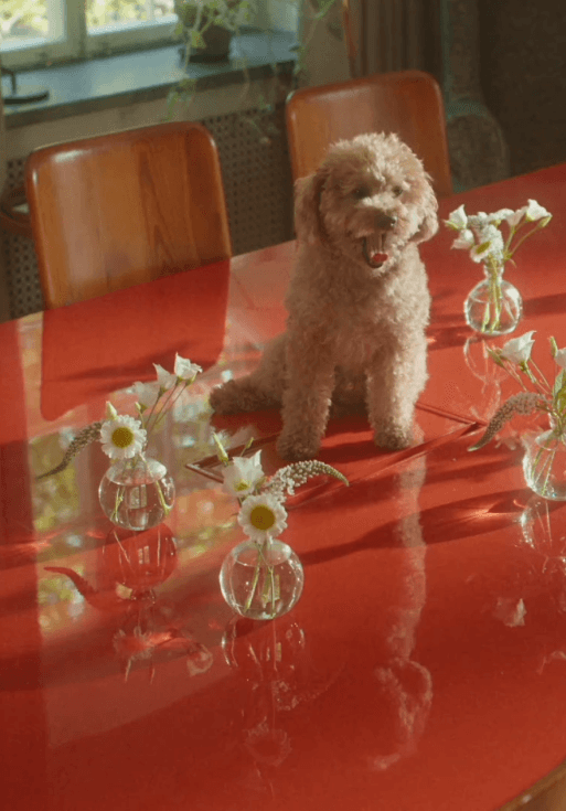 Kontor för husse och matte!